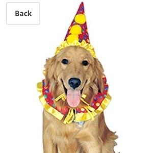 Dog clown costume